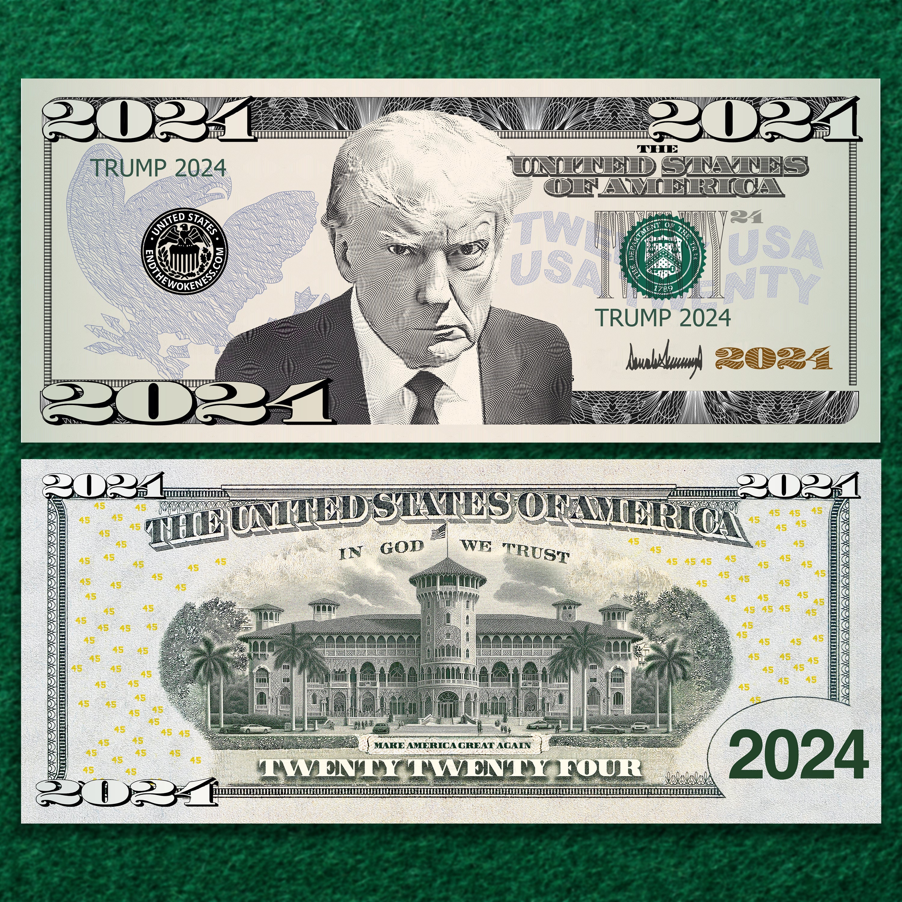 Trump 2024 Bill - Laminated